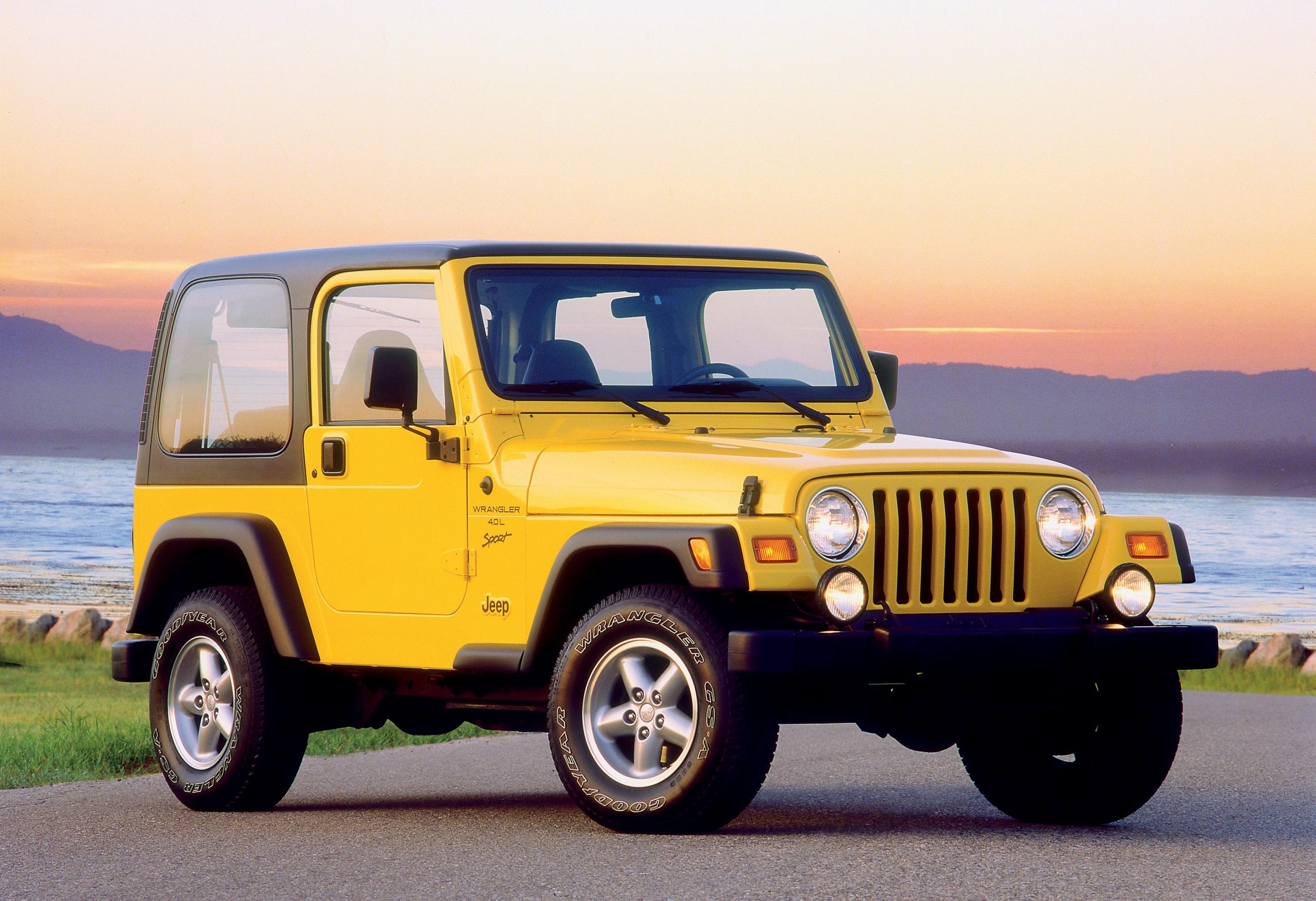 Shop for Jeep Wrangler TJ Series 1997-2006 rear Window Gas Struts (Pair)  Online
